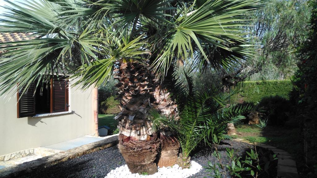 Baia Cofano Home Custonaci Kültér fotó